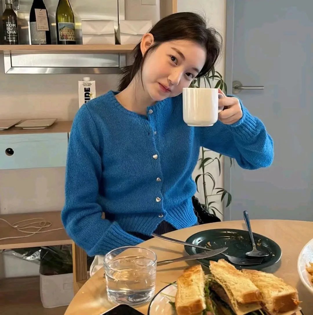 小淘气尼古拉的假期